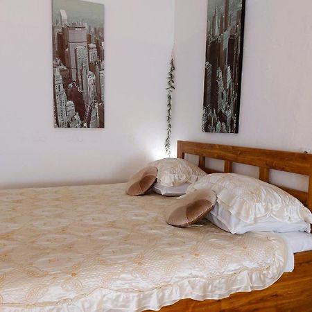 Exkluzivni Apartman V Prizemi V Hradci Kralove Hradec Králové Exteriér fotografie