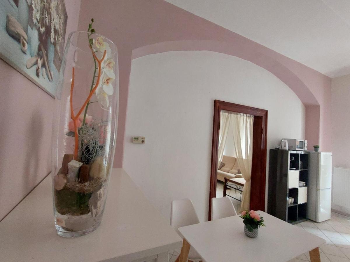 Exkluzivni Apartman V Prizemi V Hradci Kralove Hradec Králové Exteriér fotografie
